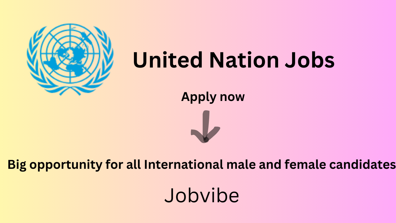 United Nations Jobs in 2024